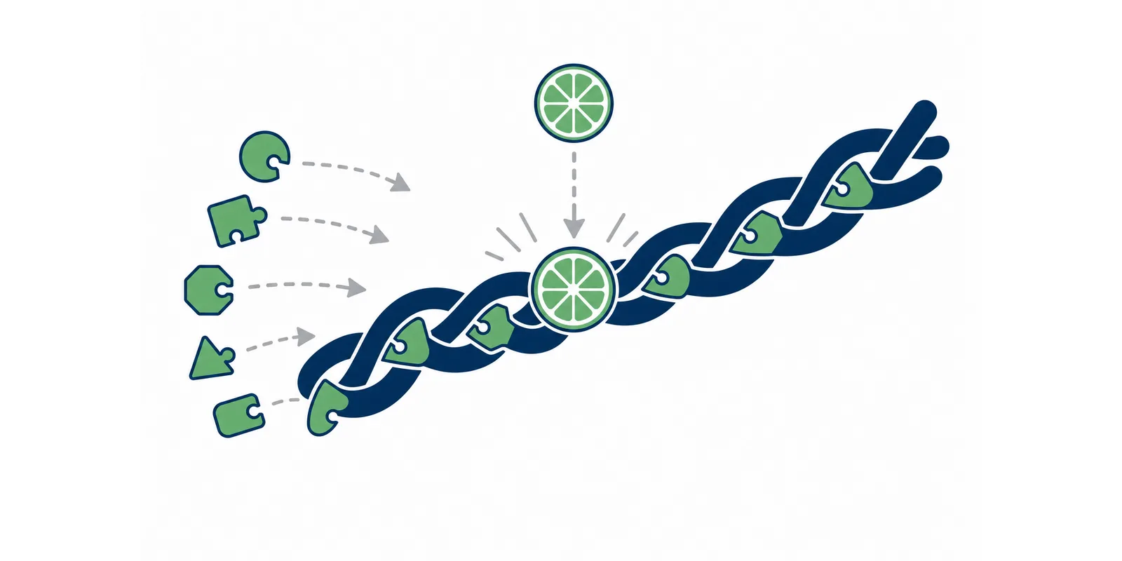 Ilustração sobre colágeno hidrolisado, com a fibra de colágeno sendo montada a partir de peças de aminoácido e da vitamina C