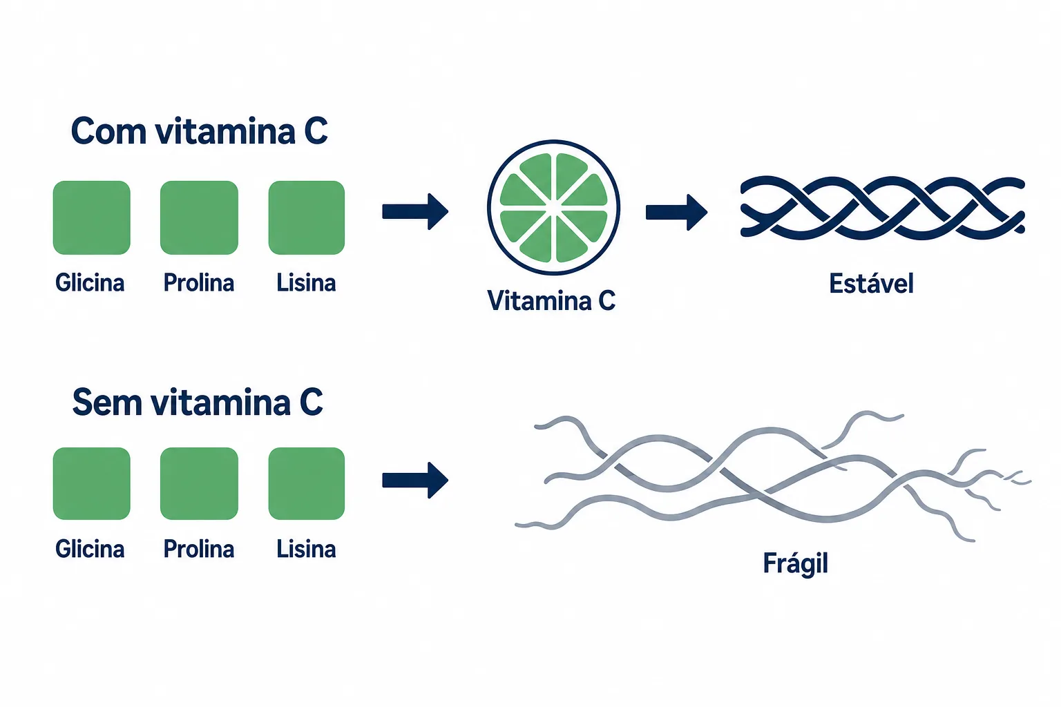 Infográfico mostrando como o colágeno hidrolisado vira matéria-prima, com as peças de glicina, prolina e lisina e a vitamina C fechando a tripla hélice