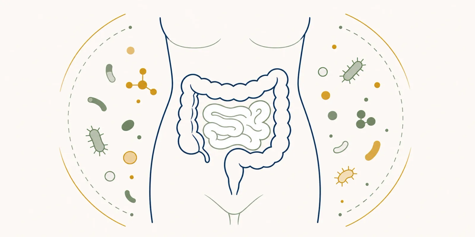 Cólica abdominal: causas, quando se preocupar e a relação com o intestino