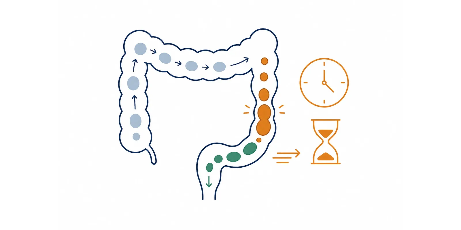 Constipação intestinal: sintomas, exames e como tratar