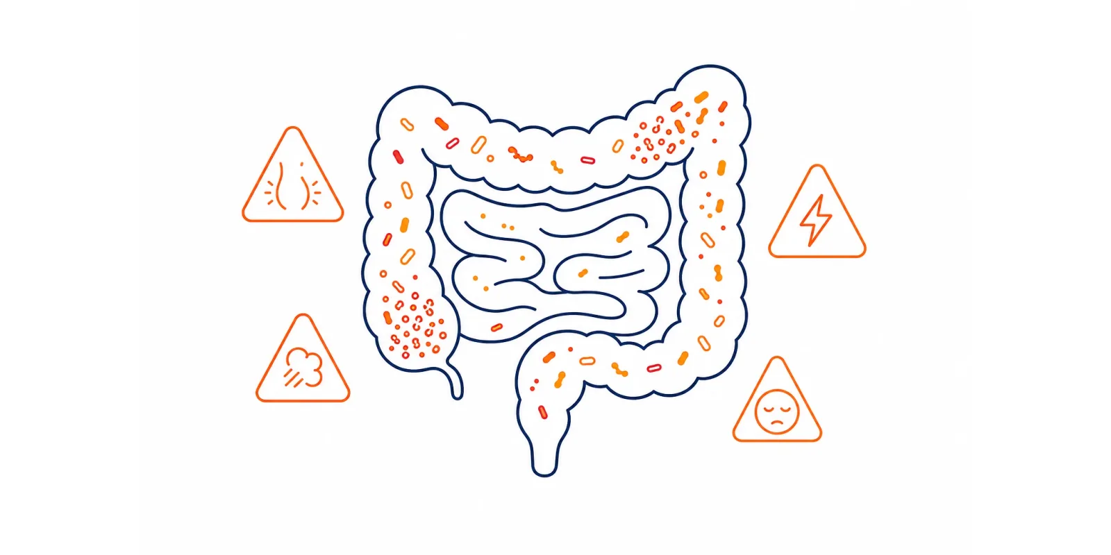 Disbiose intestinal: os sintomas que mostram que algo saiu do eixo