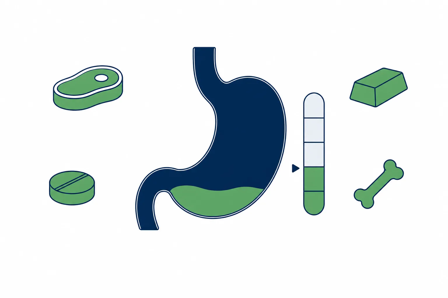 Ilustração de estômago com escala de acidez marcando nível baixo e os nutrientes que dependem do ácido, representando a hipocloridria