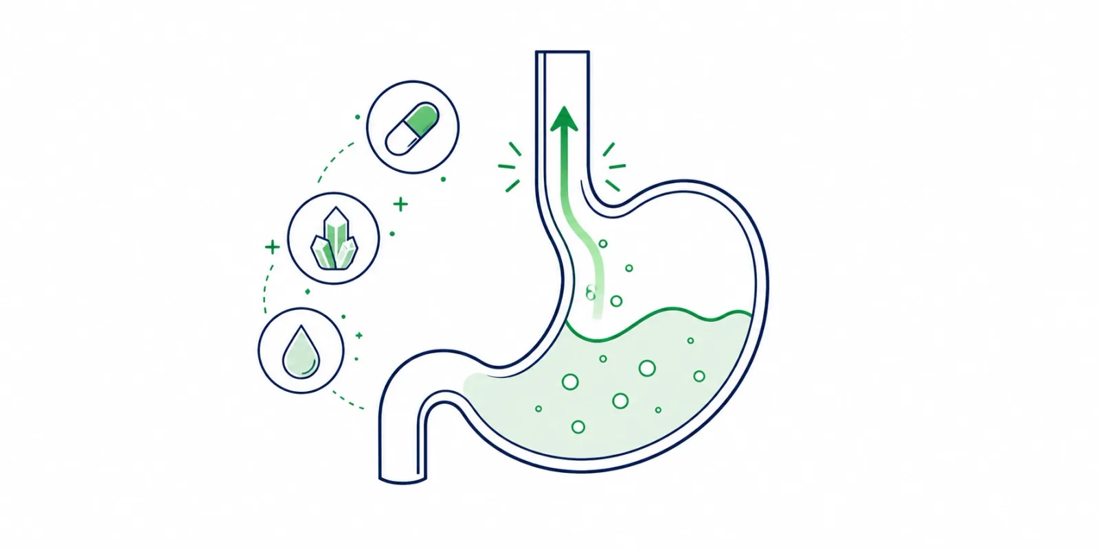 Refluxo: causas, o uso de omeprazol e o impacto no metabolismo