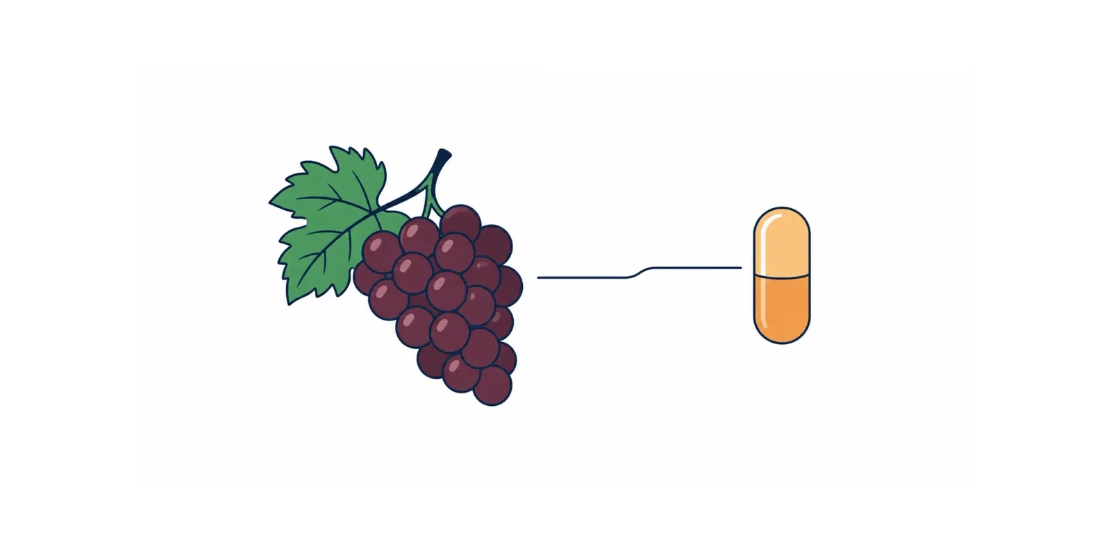 Resveratrol: o que é, benefícios e o que a ciência mostra de verdade