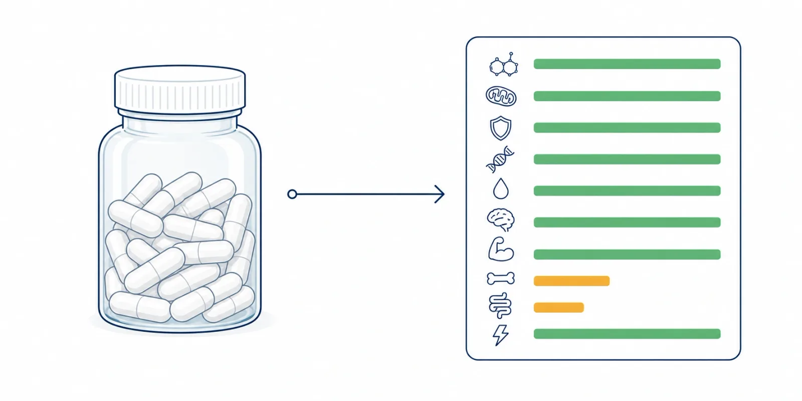 Suplementação guiada pela metabolômica: como saber o que falta