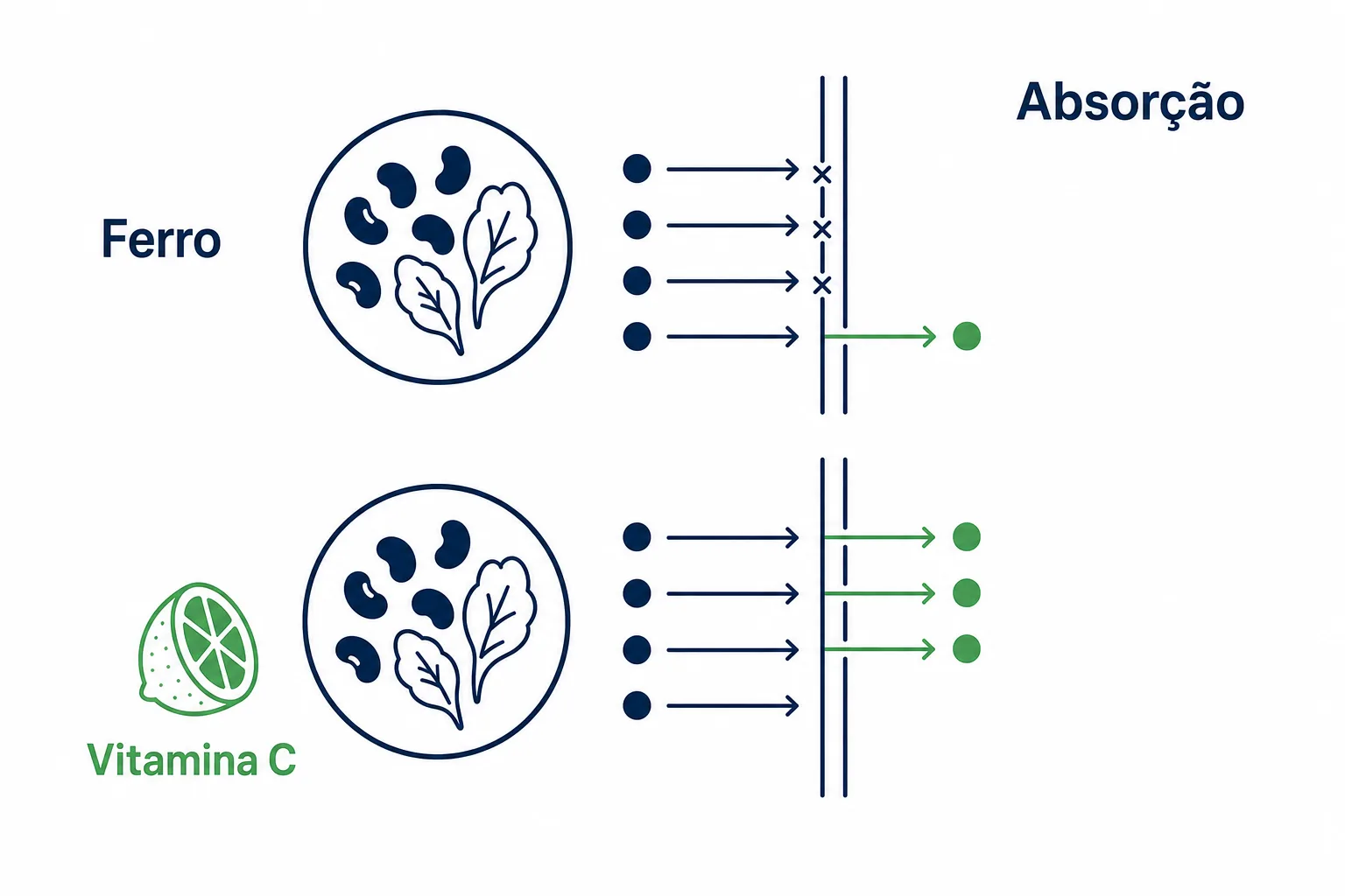 Infográfico mostrando como a vitamina C aumenta a absorção do ferro não heme dos vegetais na mesma refeição