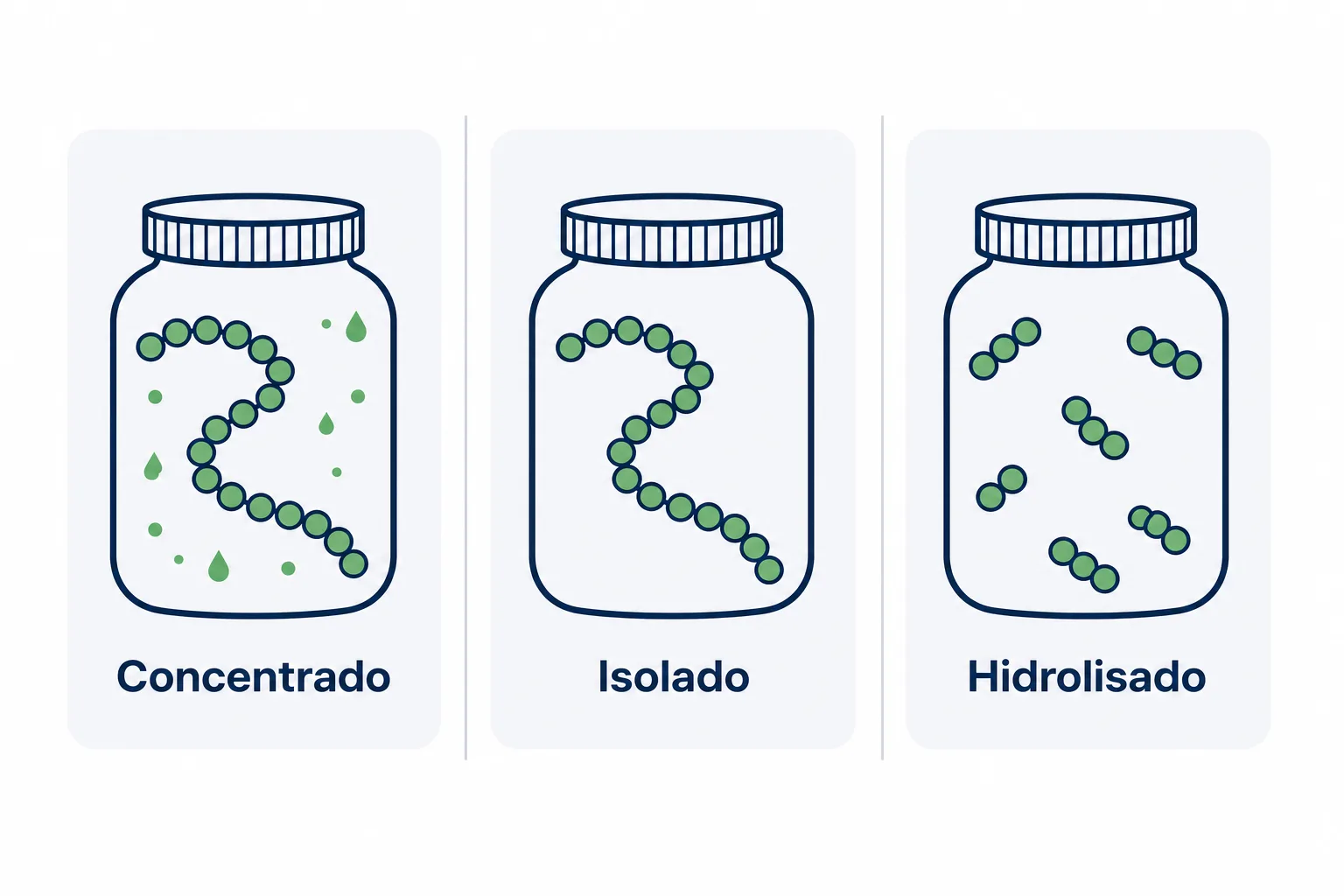 Infográfico comparando whey protein concentrado, isolado e hidrolisado, mostrando o grau de filtragem e a quebra das cadeias de proteína